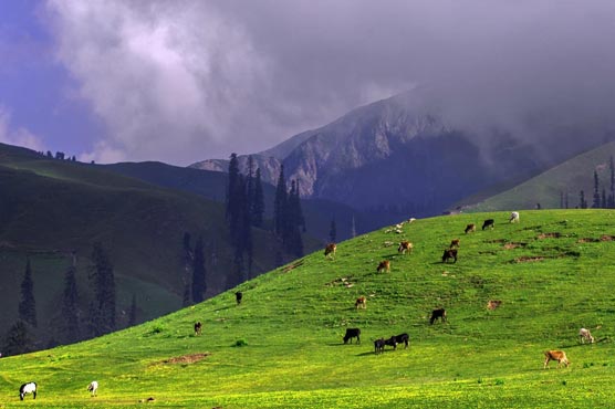 Aerial View: Siri Paye Shogran Kaghan Valley Pakistan-guestkor_com