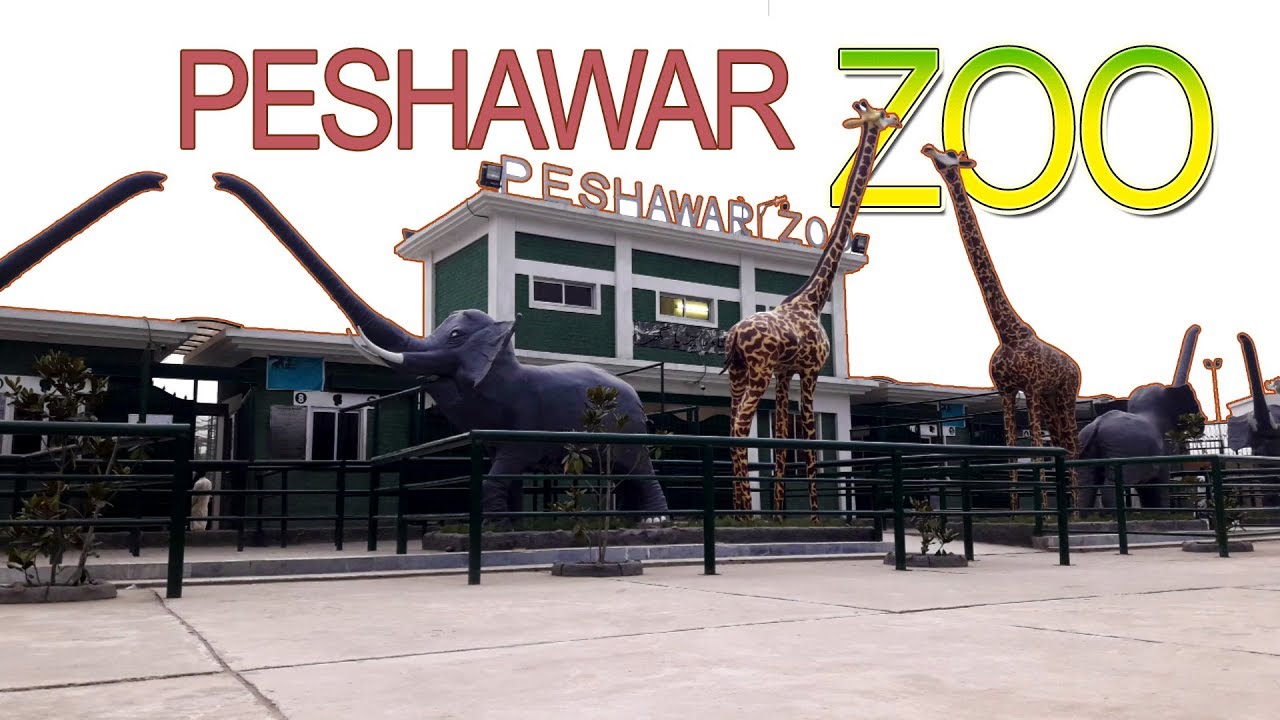 Amazing Photography Shots Of Our Peshawar Zoo-guestkor_com