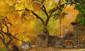 Autumn season in swat valley-guestkor_com