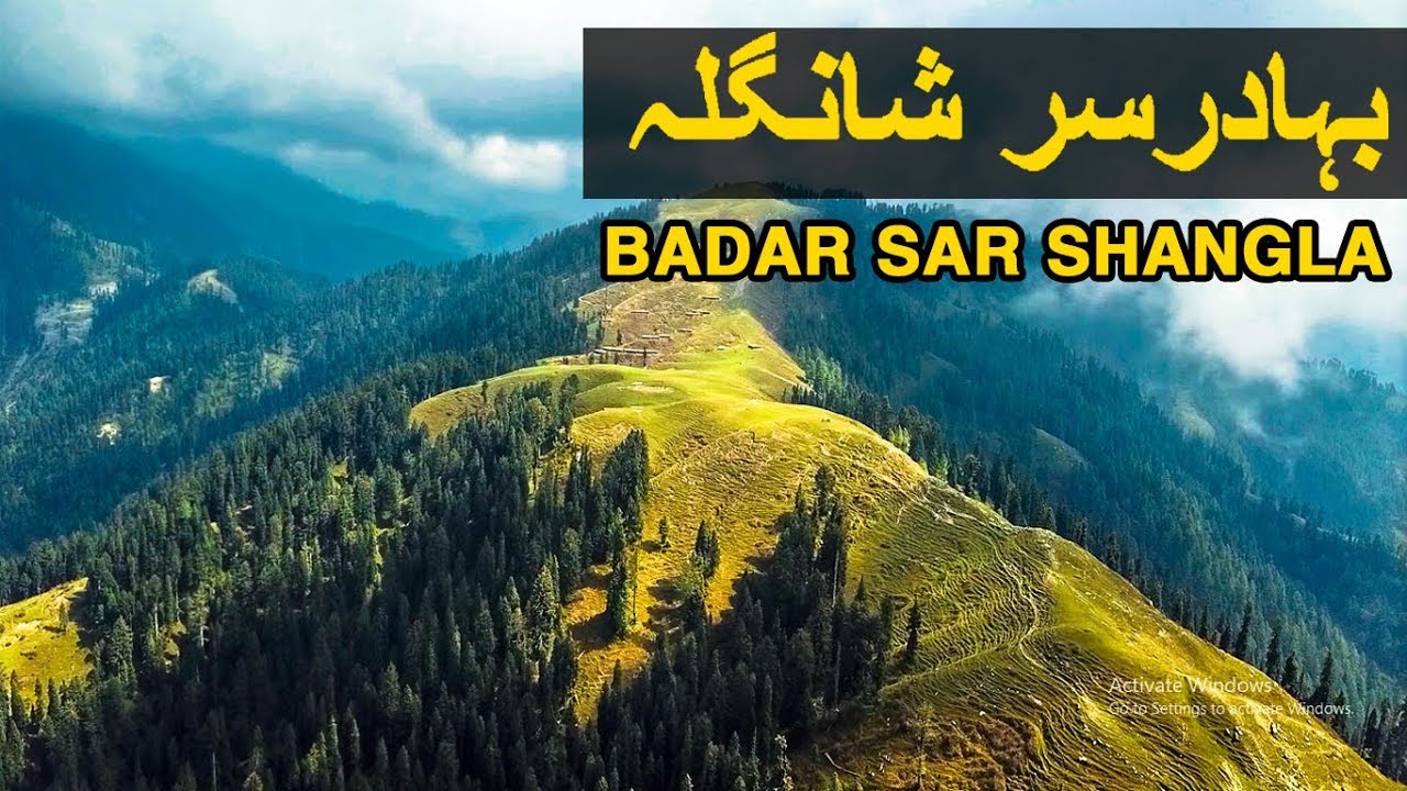 Bahadar Sar Shangla Beautiful Green Top-guestkor_com