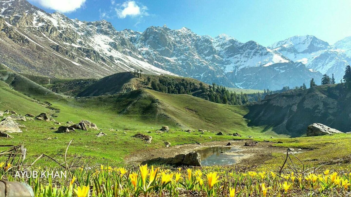 Chukail Banda Mankial Swat Valley Pakistan-guestkor_com