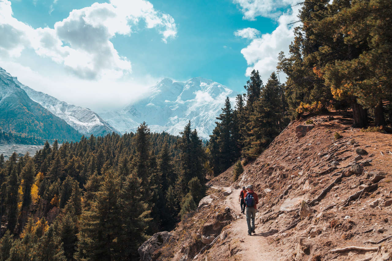 Exploring the Beauty of Fairy Meadows: A Guide to the Best Hiking Trails-guestkor_com