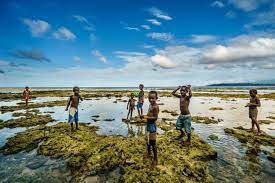 Exploring the Impact of Tourism on Economic Growth in Small Island Developing States in the Pacific-guestkor_com