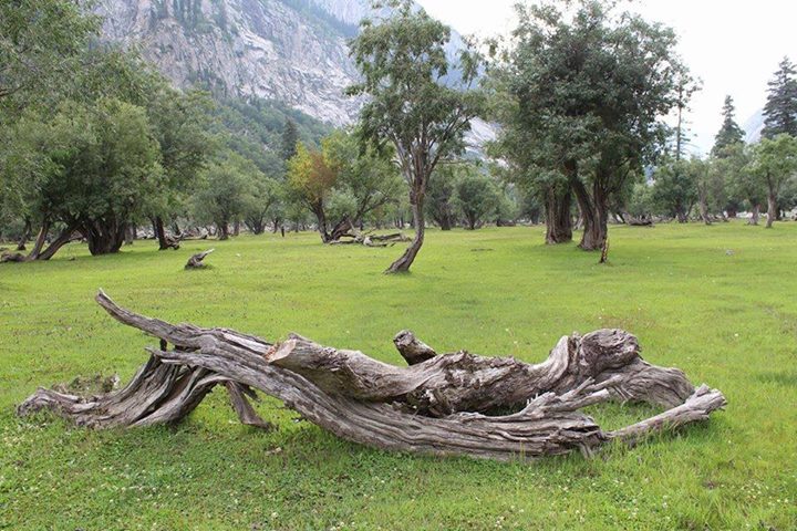 Kajri Lakes Shahibagh Kalam Valley Swat Part 3-guestkor_com