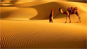 Thar Desert-guestkor_com