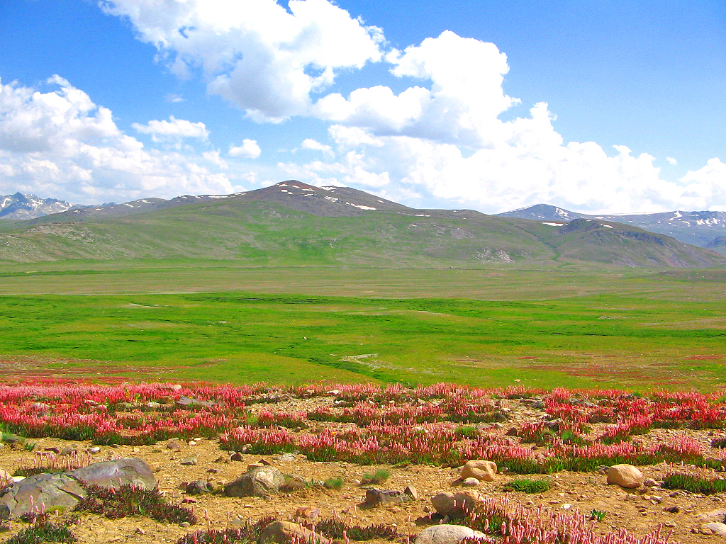 The Beauty of Deosai Plains 30+ Amazing Pictures-guestkor_com