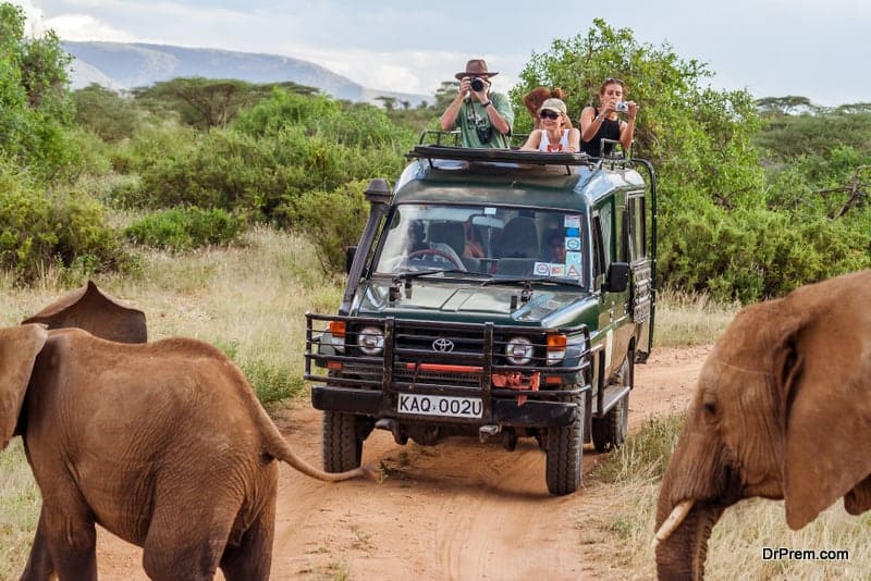 The Role of Wildlife Photography in Conservation: Exploring the Impact of Social Media on Travel and Tourism-guestkor_com