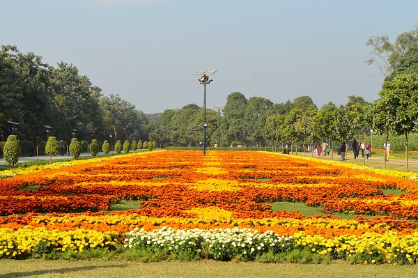 Top 5 Gardens in Pakistan-guestkor_com