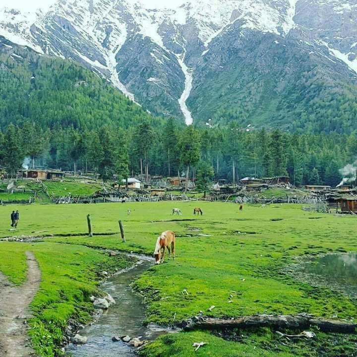 46- tour 4 days 3 nights lahore to naran kaghan valley     executive group tour winter/snowfall  package