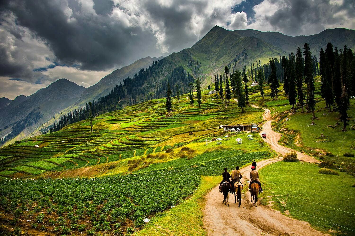 53- tour 8 days 7 nights lahore to swat & naran valley     standard group tour winter/snowfall  package